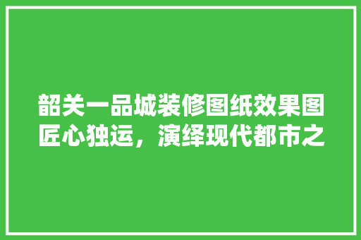 韶关一品城装修图纸效果图匠心独运，演绎现代都市之美