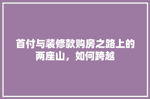首付与装修款购房之路上的两座山，如何跨越