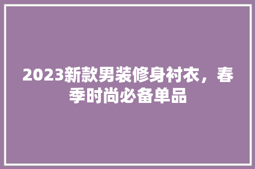 2023新款男装修身衬衣，春季时尚必备单品