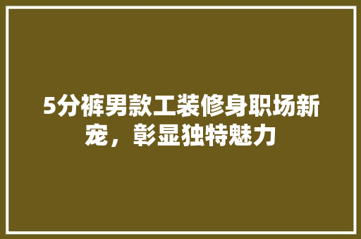 5分裤男款工装修身职场新宠，彰显独特魅力