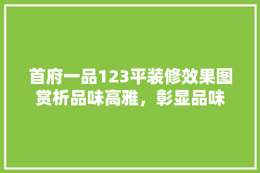 首府一品123平装修效果图赏析品味高雅，彰显品味