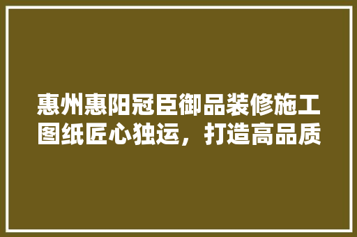 惠州惠阳冠臣御品装修施工图纸匠心独运，打造高品质居住空间