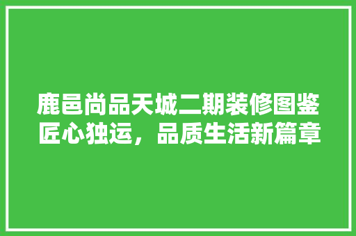 鹿邑尚品天城二期装修图鉴匠心独运，品质生活新篇章