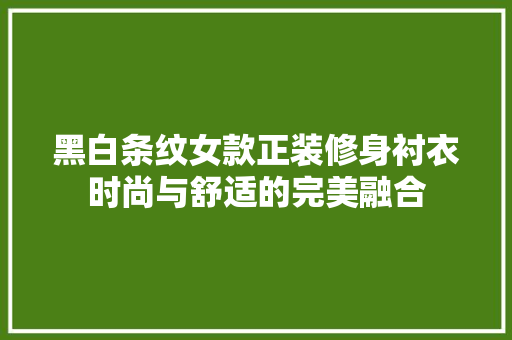 黑白条纹女款正装修身衬衣时尚与舒适的完美融合