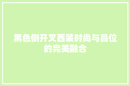 黑色侧开叉西装时尚与品位的完美融合  第1张
