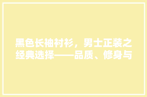 黑色长袖衬衫，男士正装之经典选择——品质、修身与耐穿的艺术