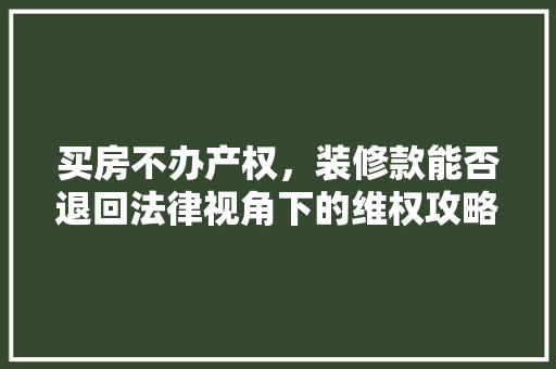 买房不办产权，装修款能否退回法律视角下的维权攻略