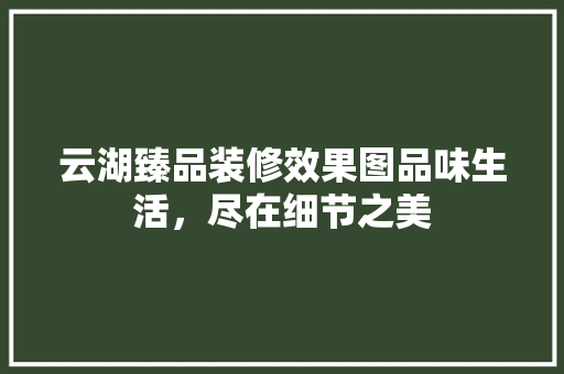 云湖臻品装修效果图品味生活，尽在细节之美