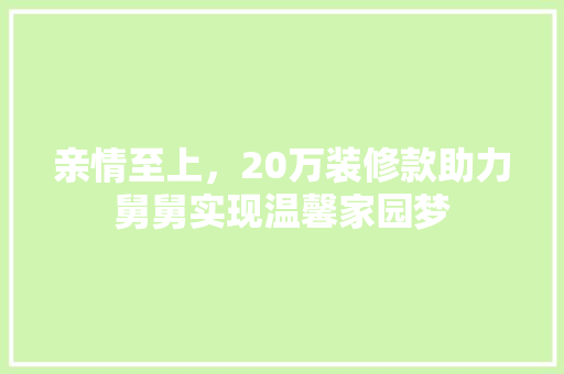 亲情至上，20万装修款助力舅舅实现温馨家园梦