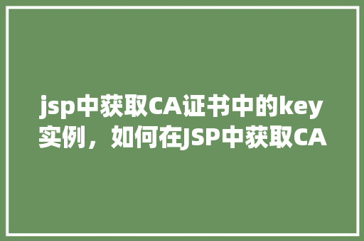 jsp中获取CA证书中的key实例，如何在JSP中获取CA证书中的Key实例  第1张