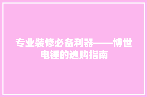 专业装修必备利器——博世电锤的选购指南  第1张
