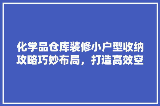 化学品仓库装修小户型收纳攻略巧妙布局，打造高效空间