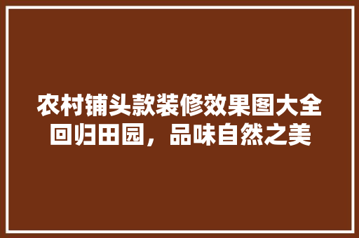 农村铺头款装修效果图大全回归田园，品味自然之美