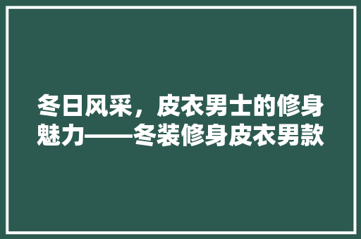 冬日风采，皮衣男士的修身魅力——冬装修身皮衣男款图片赏析  第1张