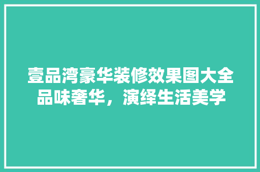 壹品湾豪华装修效果图大全品味奢华，演绎生活美学  第1张