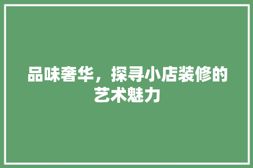 品味奢华，探寻小店装修的艺术魅力  第1张