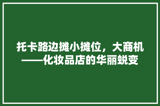 托卡路边摊小摊位，大商机——化妆品店的华丽蜕变