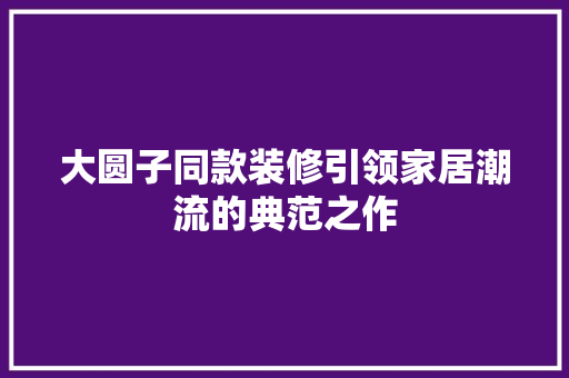 大圆子同款装修引领家居潮流的典范之作