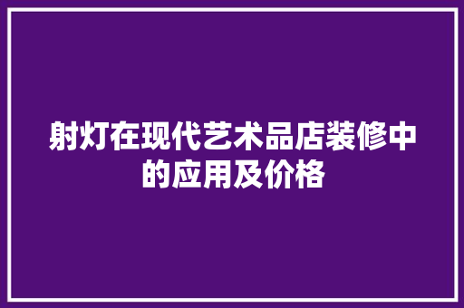 射灯在现代艺术品店装修中的应用及价格