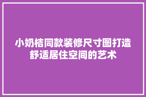 小奶桔同款装修尺寸图打造舒适居住空间的艺术