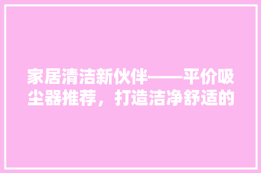 家居清洁新伙伴——平价吸尘器推荐，打造洁净舒适的家