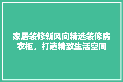 家居装修新风向精选装修房衣柜，打造精致生活空间
