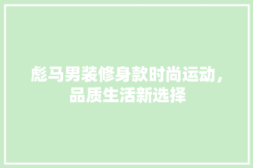 彪马男装修身款时尚运动，品质生活新选择