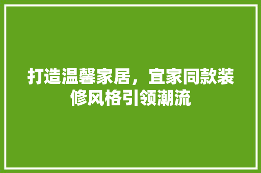 打造温馨家居，宜家同款装修风格引领潮流