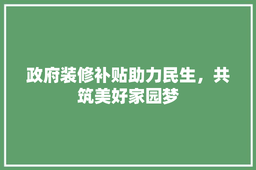 政府装修补贴助力民生，共筑美好家园梦