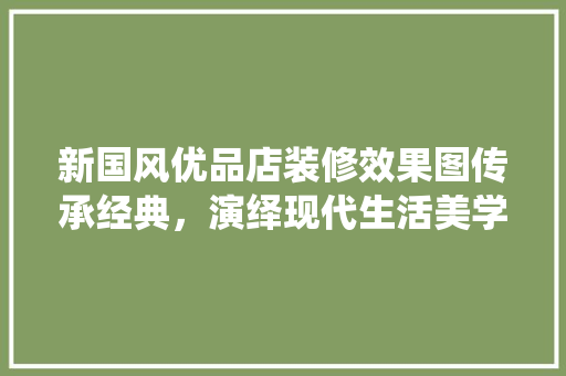 新国风优品店装修效果图传承经典，演绎现代生活美学