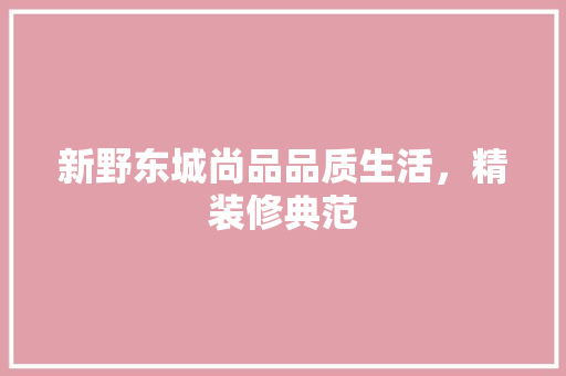 新野东城尚品品质生活，精装修典范