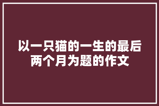 私人定制潮品店个与时尚的完美融合