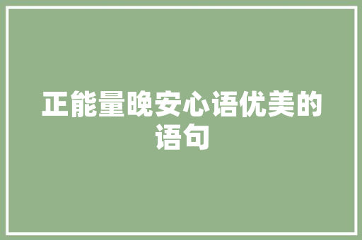 秋冬女款正式装修套装优雅与温暖的完美融合