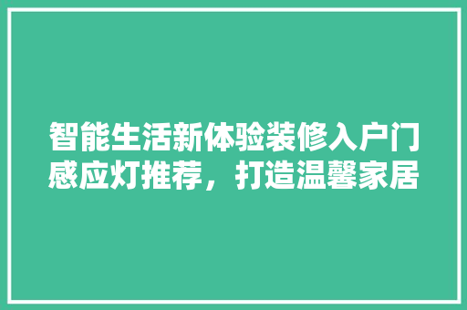 智能生活新体验装修入户门感应灯推荐，打造温馨家居氛围