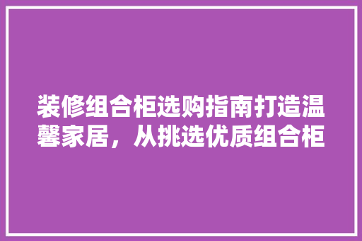 装修组合柜选购指南打造温馨家居，从挑选优质组合柜开始