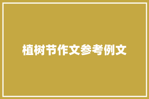 装修贷的正确使用与还款攻略轻松打造温馨家园