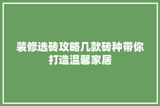 装修选砖攻略几款砖种带你打造温馨家居