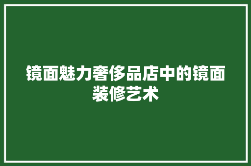 镜面魅力奢侈品店中的镜面装修艺术
