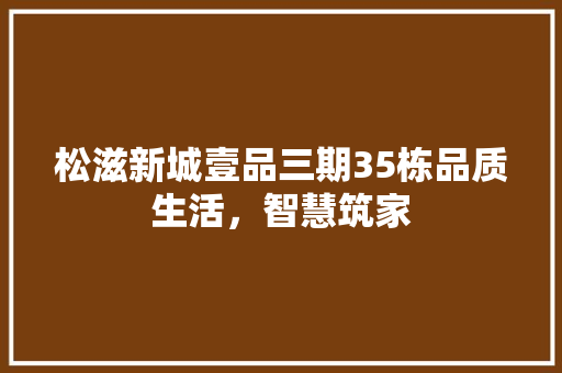 松滋新城壹品三期35栋品质生活，智慧筑家