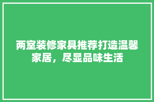 两室装修家具推荐打造温馨家居，尽显品味生活