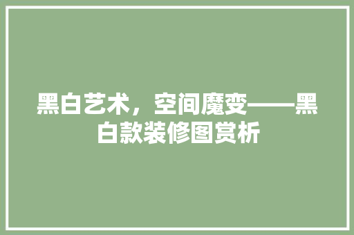 黑白艺术，空间魔变——黑白款装修图赏析