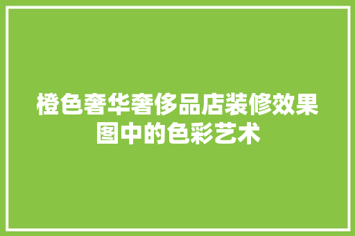 橙色奢华奢侈品店装修效果图中的色彩艺术