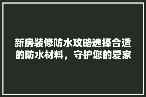 新房装修防水攻略选择合适的防水材料，守护您的爱家