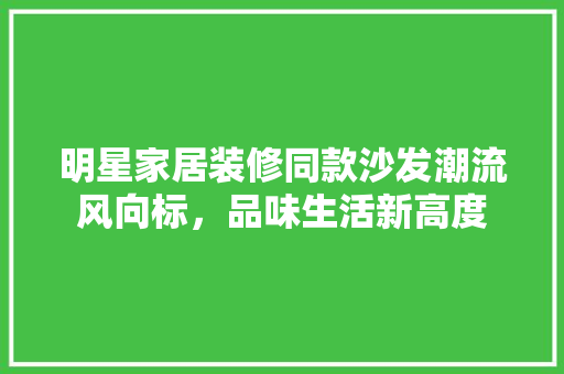 明星家居装修同款沙发潮流风向标，品味生活新高度