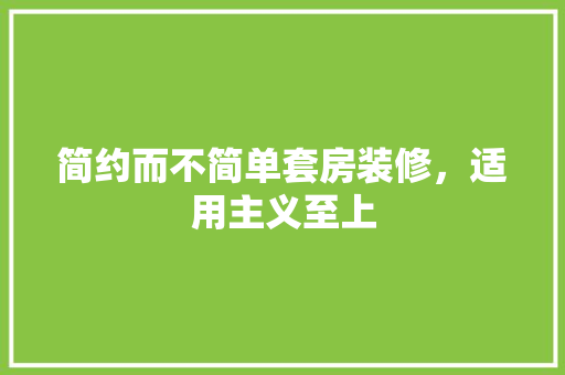 简约而不简单套房装修，适用主义至上