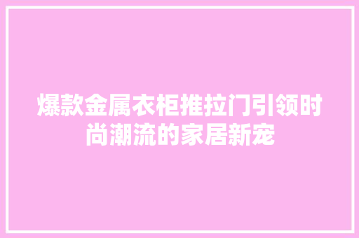 爆款金属衣柜推拉门引领时尚潮流的家居新宠