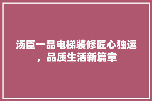 汤臣一品电梯装修匠心独运，品质生活新篇章