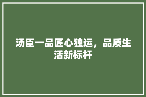 汤臣一品匠心独运，品质生活新标杆