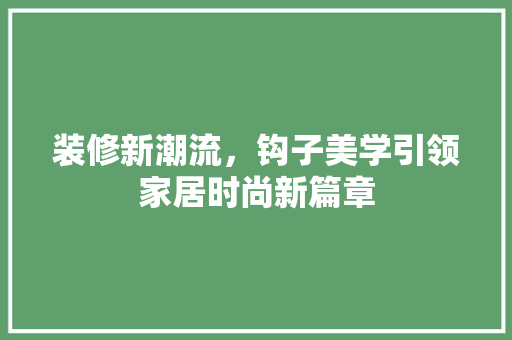 装修新潮流，钩子美学引领家居时尚新篇章