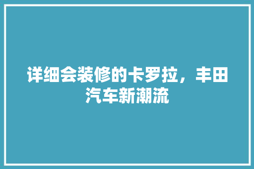 详细会装修的卡罗拉，丰田汽车新潮流